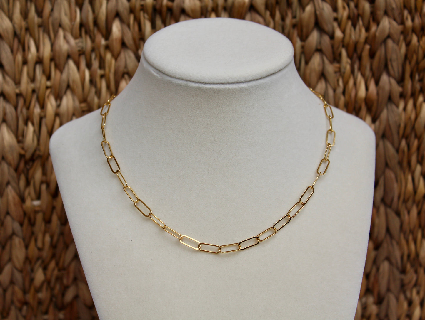 Paperclip Necklace